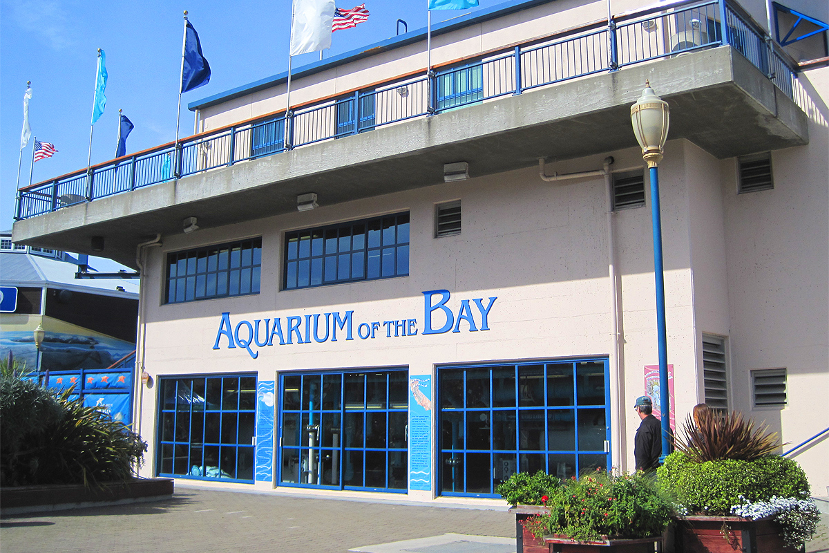 Aquarium of the Bay 
